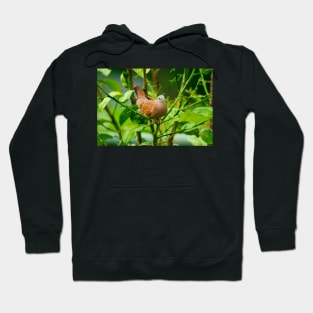 kli dove Hoodie